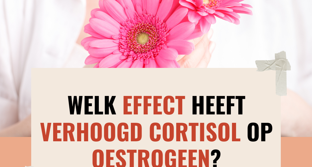 Welk effect heeft verhoogd cortisol op oestrogeen