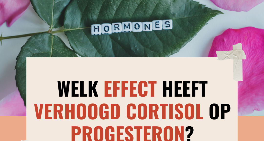 Welk effect heeft verhoogd cortisol op progesteron?